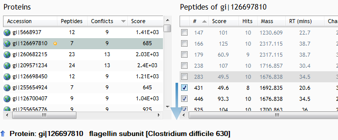 Resolving the peptide conflicts between flagellin and its subunit