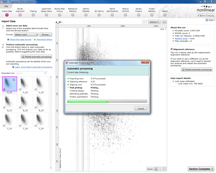 The automatic processing status dialog, showing progress of the analysis.