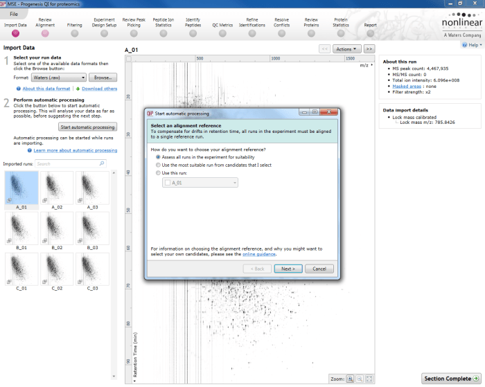 The first dialog box that appears when you launch automatic processing via the Start automatic processing button.